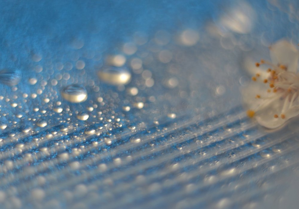 Волшебство момента