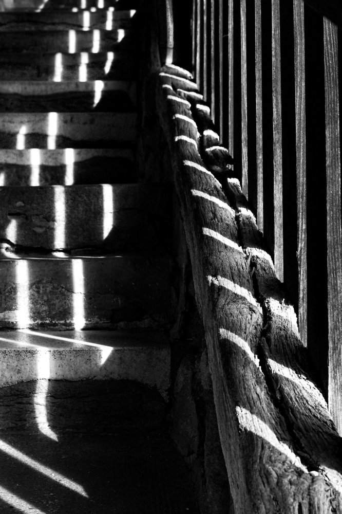 Photograph by Мария Дидковская