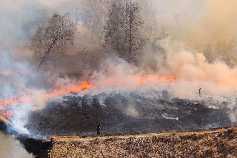 Photograph by Наталья Юрова