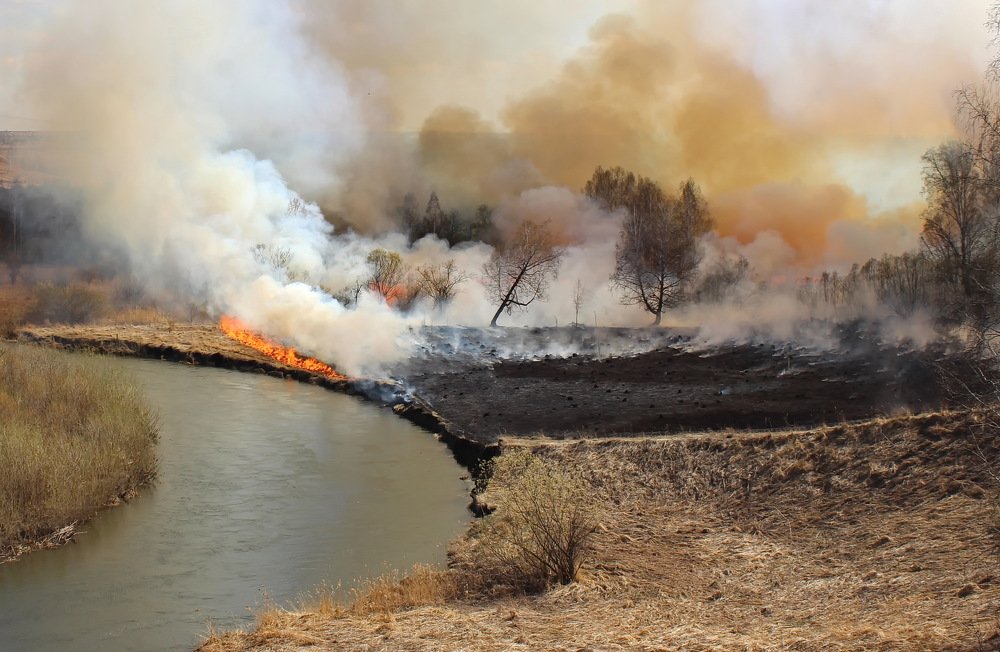 Photograph by Наталья Юрова