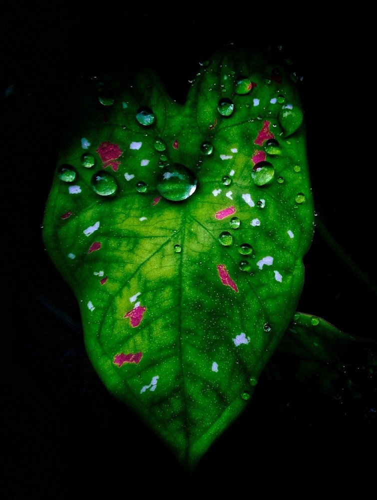 The meeting of aqua.