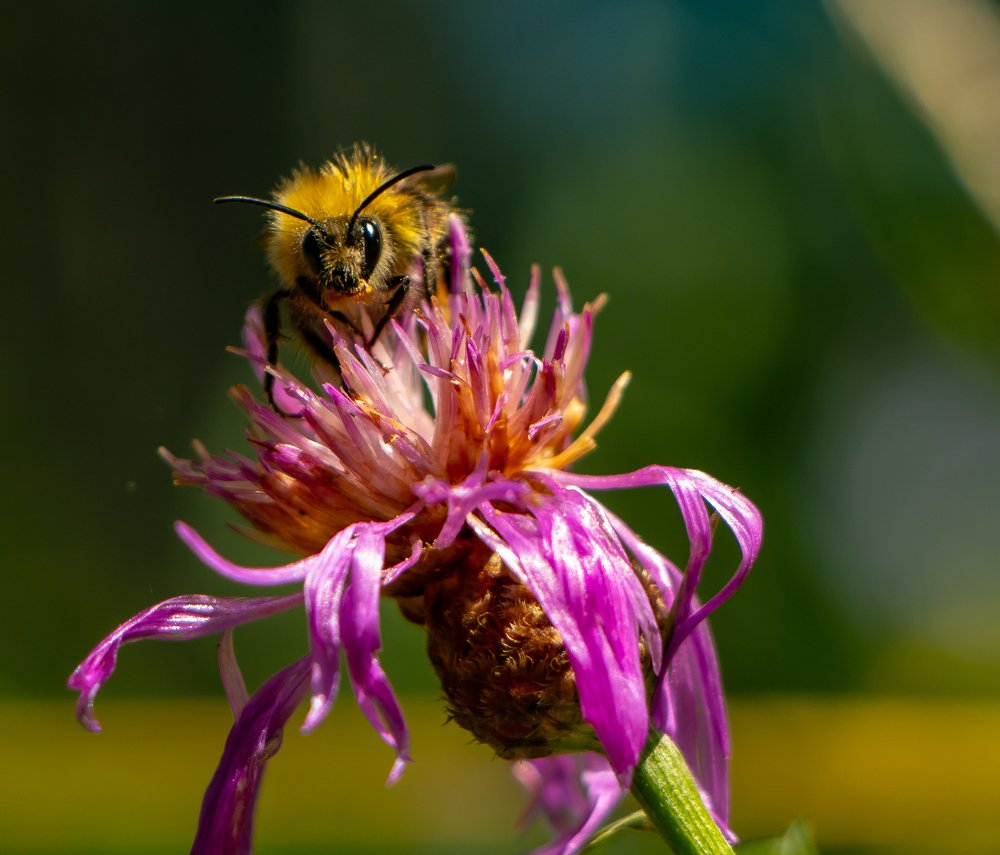 Photograph by Никита Грабкин