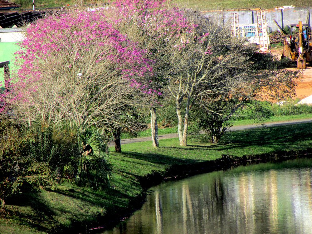 UM PEDAÇO DE CASTRO