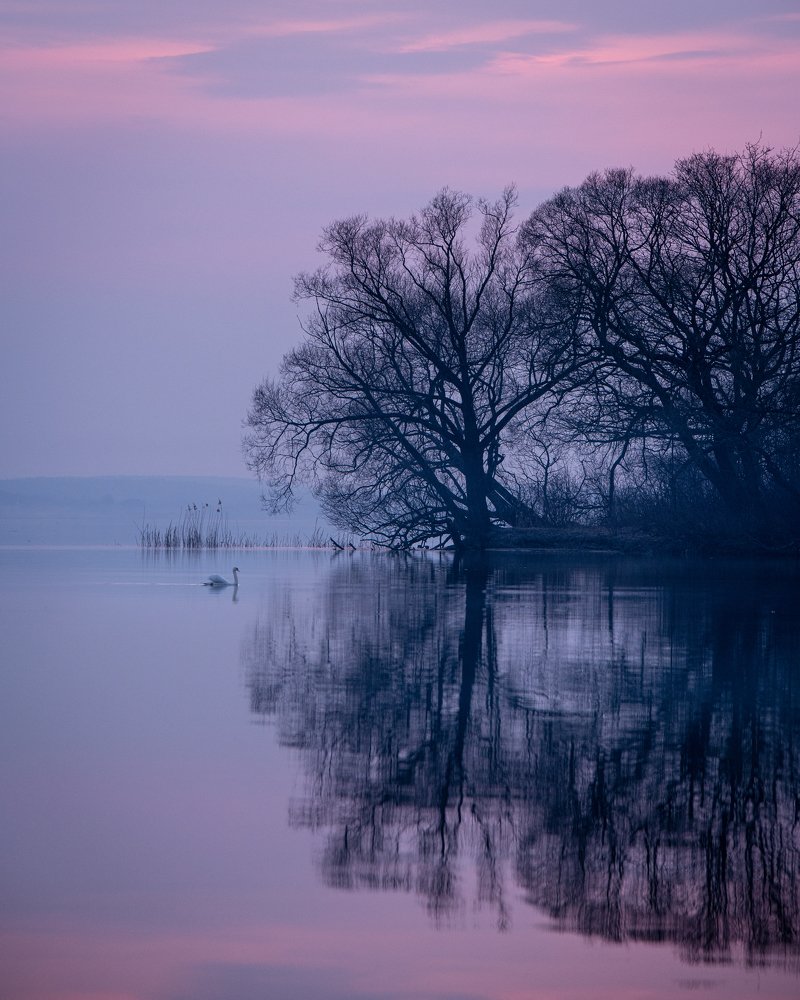 Фотография автора Андрей Барбиер