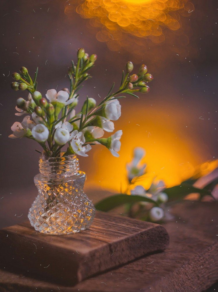 Photograph by Алла Семенова