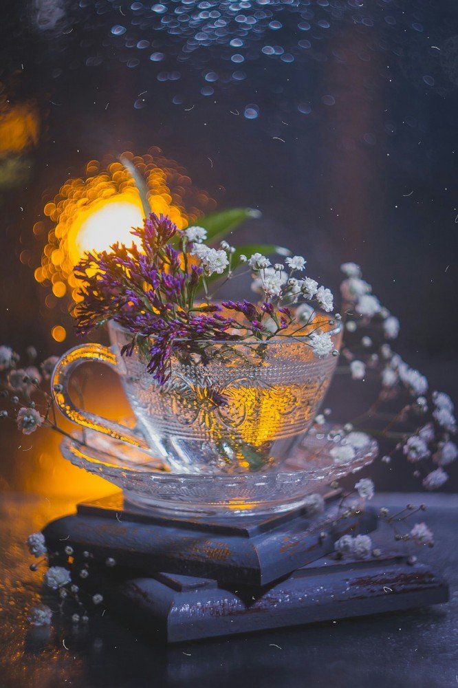 Photograph by Алла Семенова