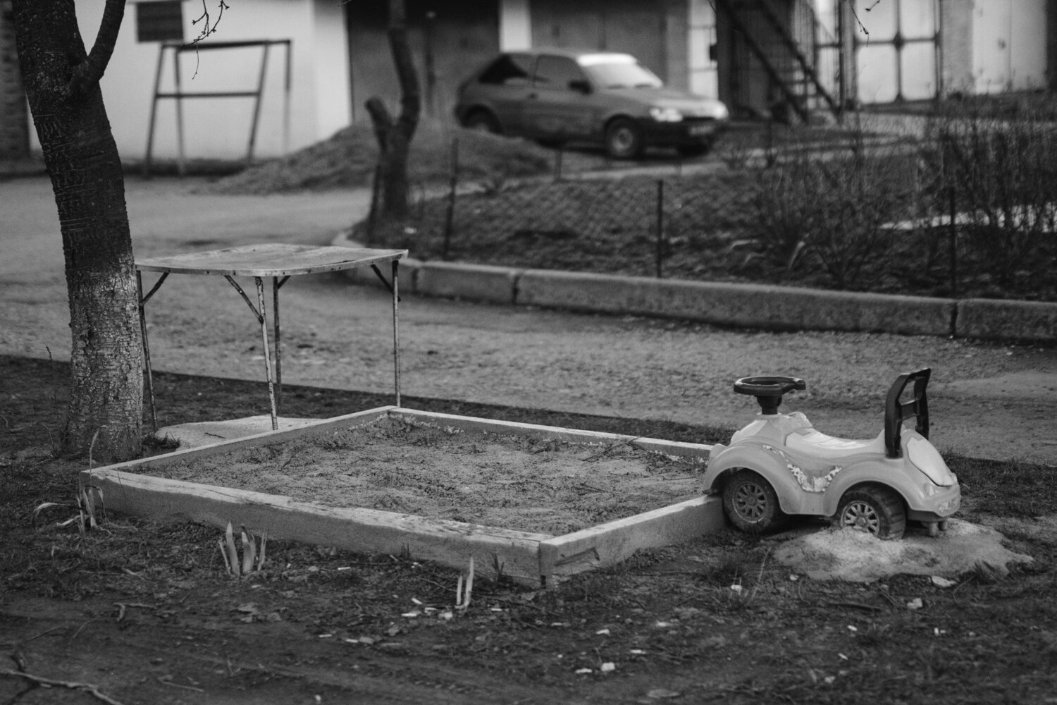 Photo #4499466
