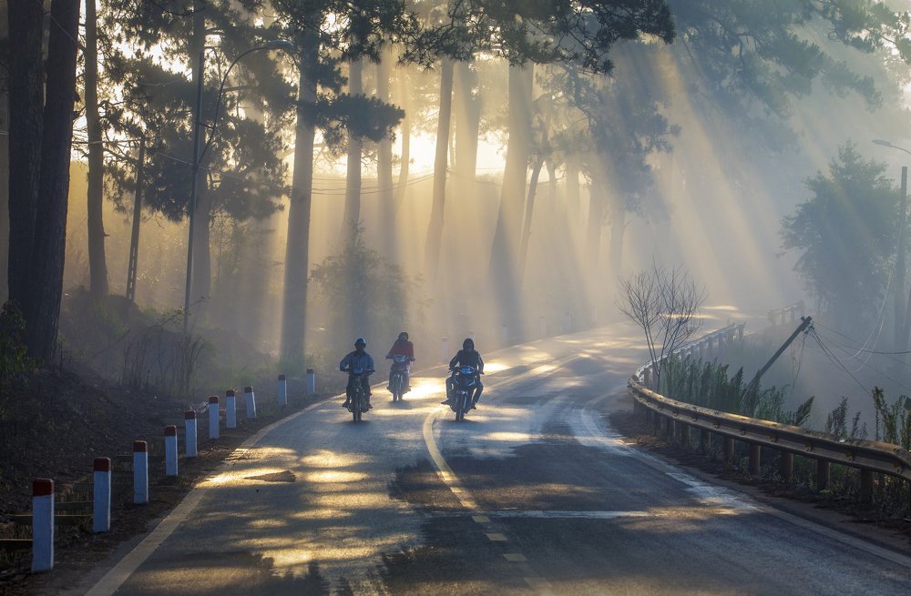 Photograph by Tran Anh