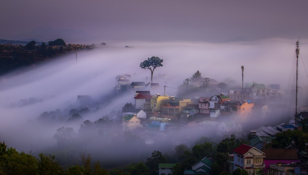 Photograph by Tran Anh