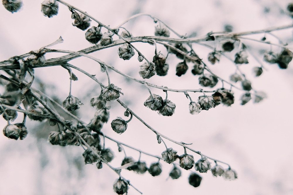 Photograph by Иван Вдовин