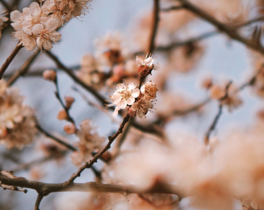 Photograph by Таньяна Зуева