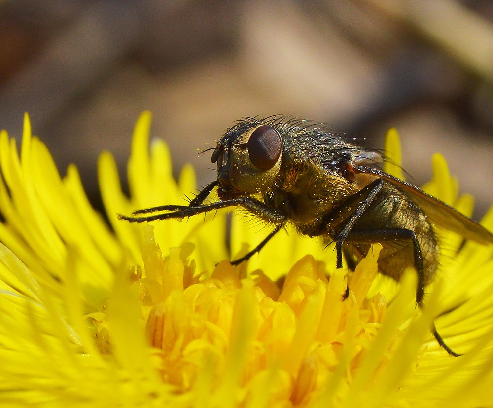 Фотография автора Сергей Суворов
