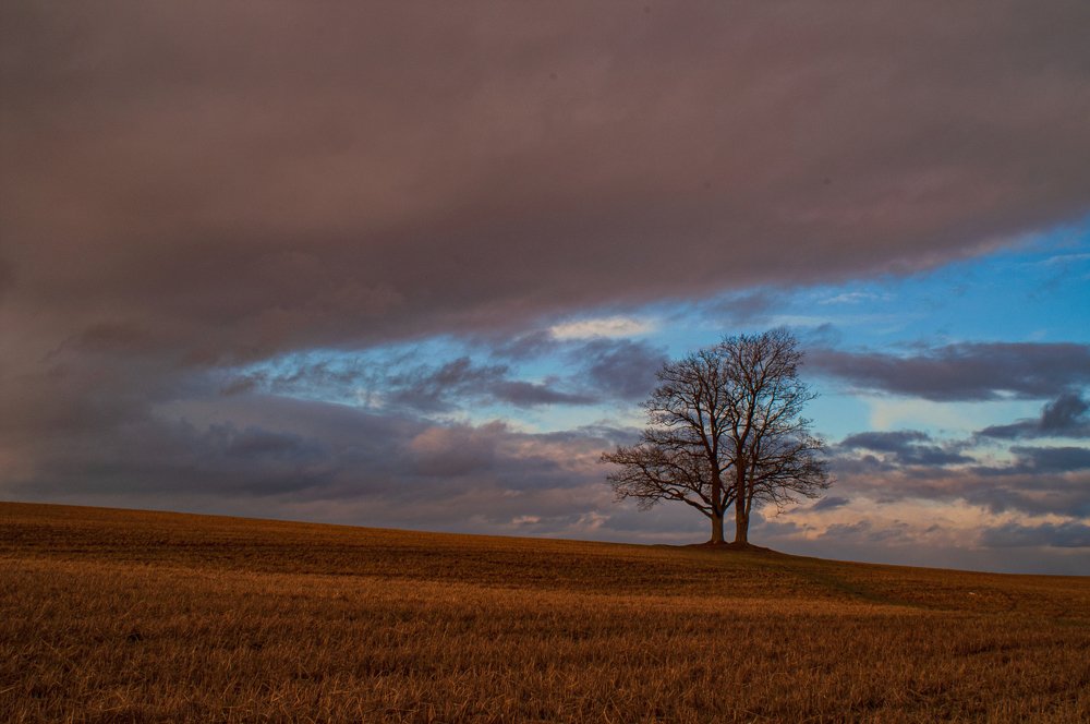Photograph by Victor