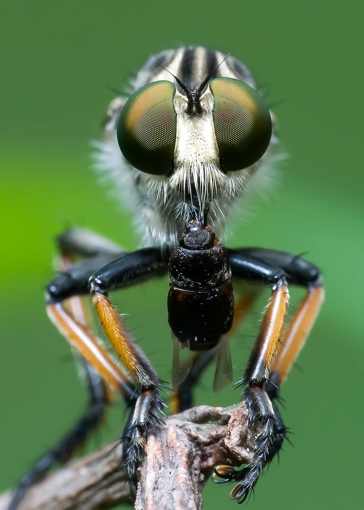 Photograph by Manojit Mallick