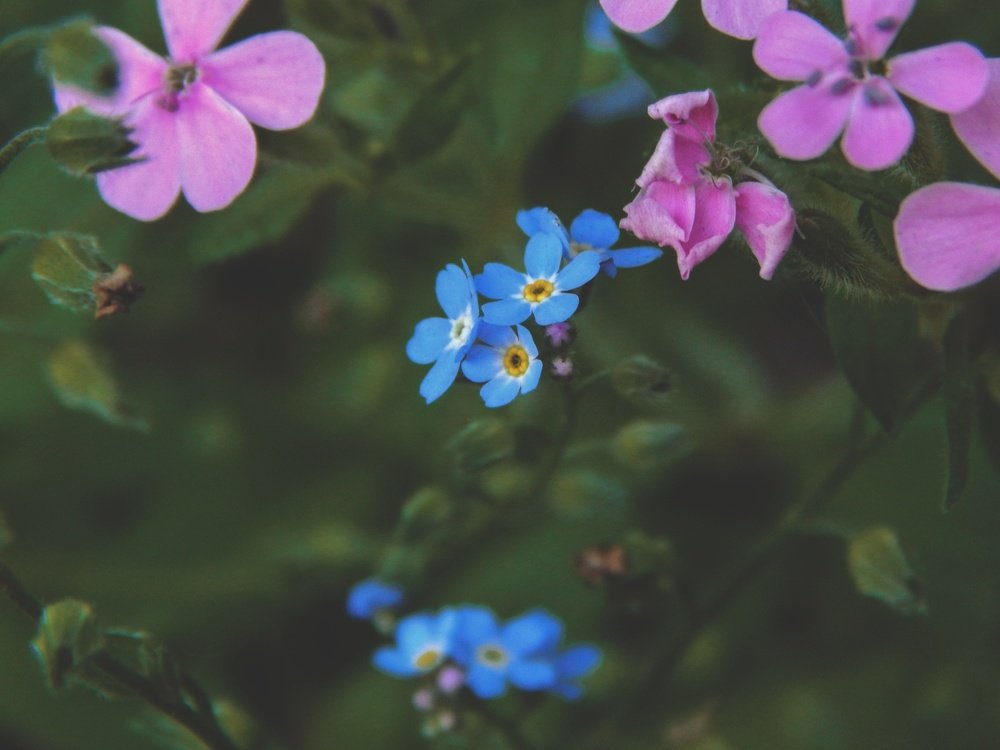 Photograph by Таньяна Зуева