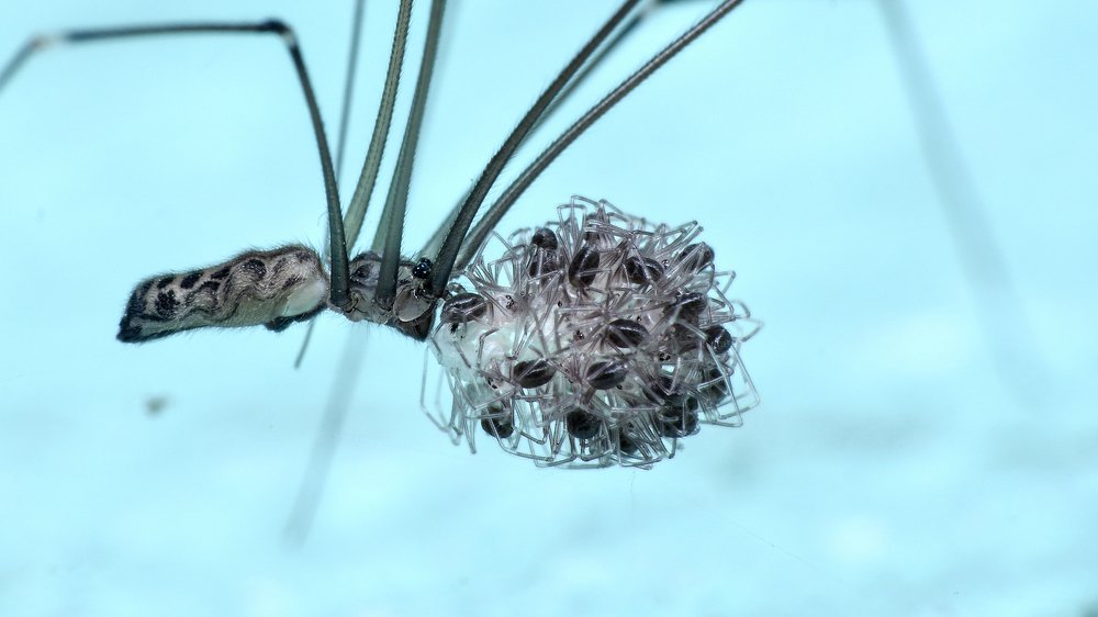 Photograph by Manojit Mallick