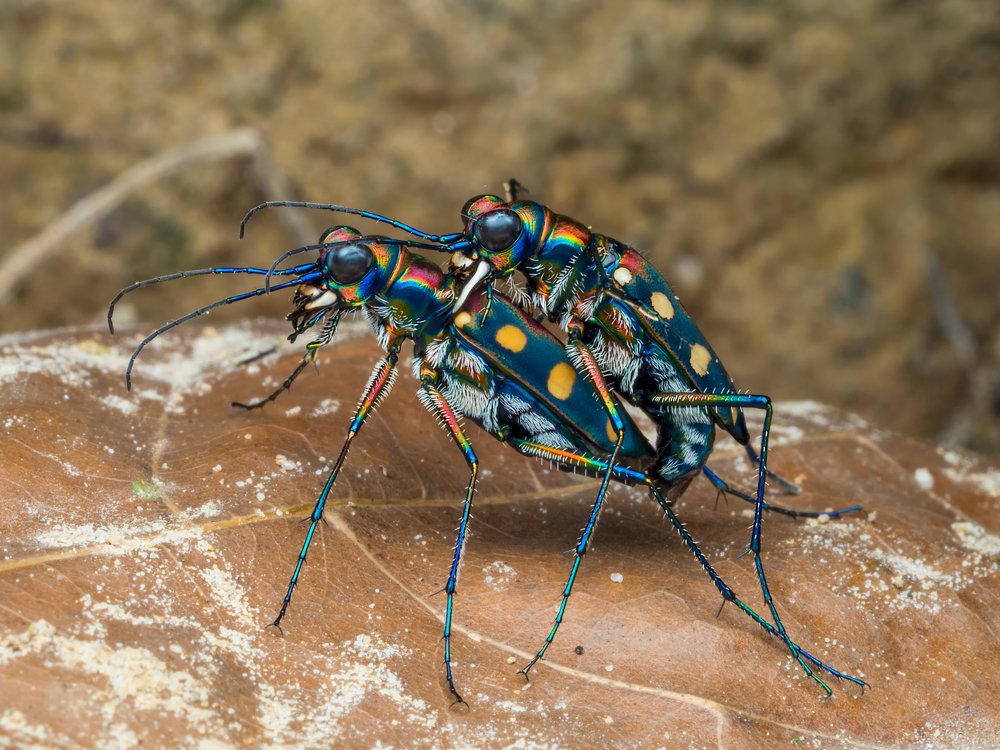 Photograph by VOON YIAN KHIAM