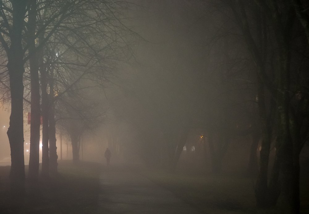 Photograph by Ольга Линк