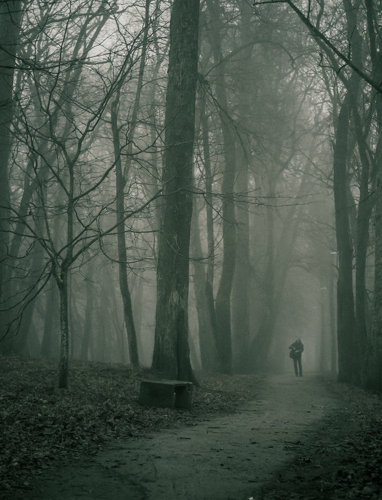 Photograph by Ольга Линк