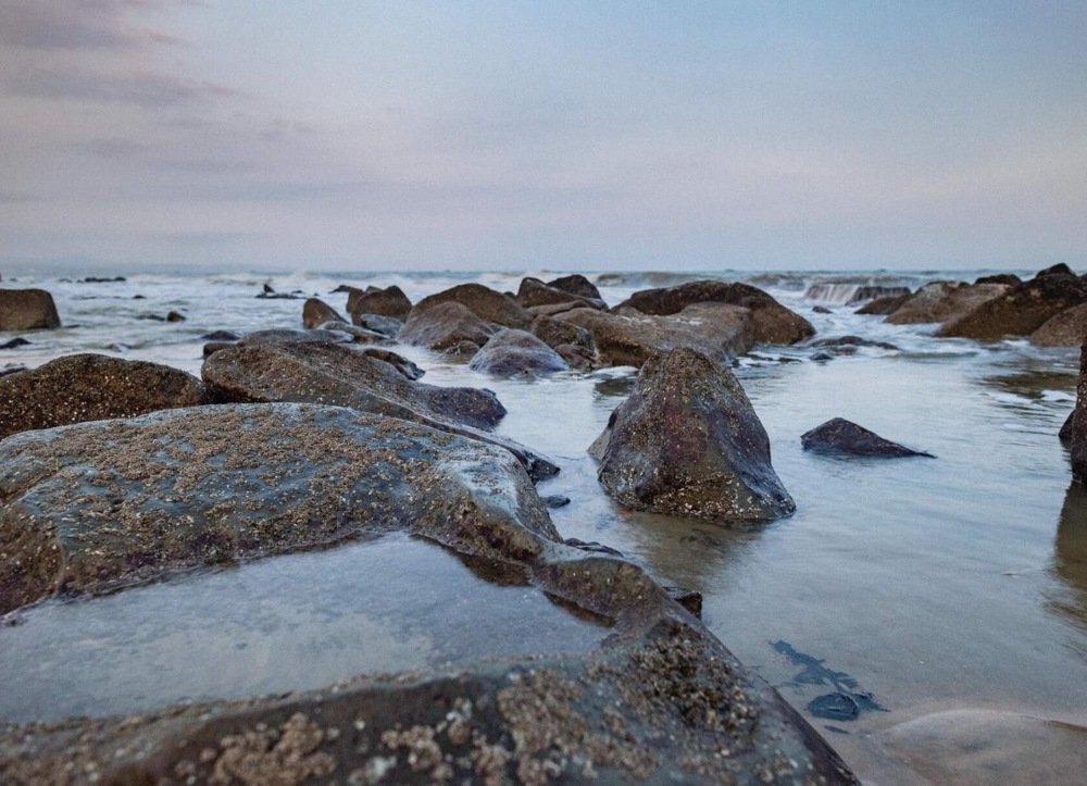 Photograph by Александр Кононов