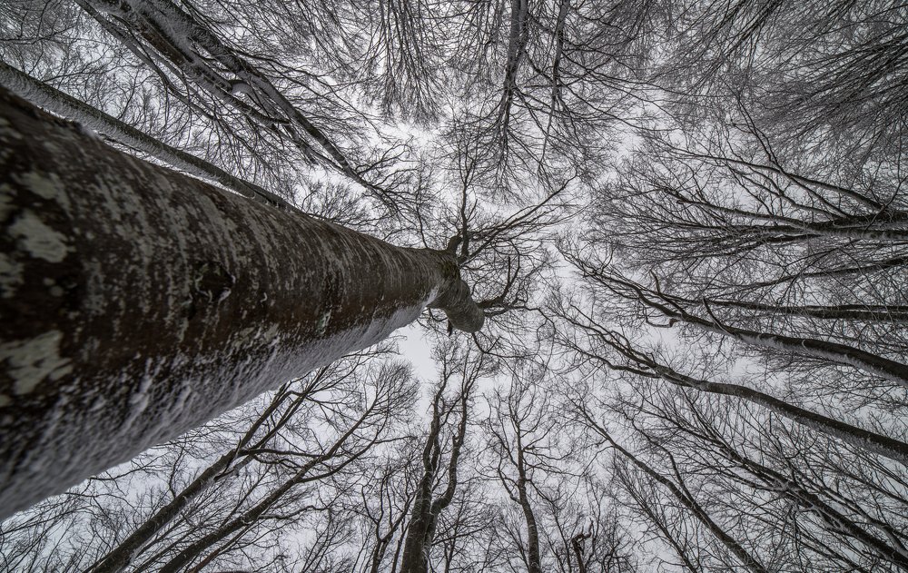 Фотография автора Konstantin Vladov