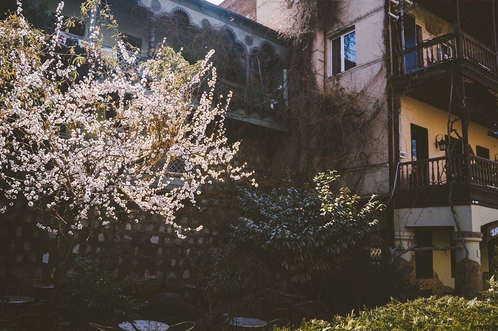 Photograph by Анатолий Гузенко