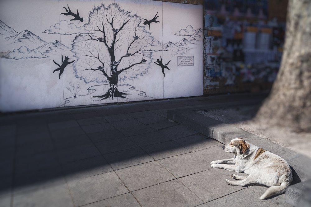 Photograph by Анатолий Гузенко