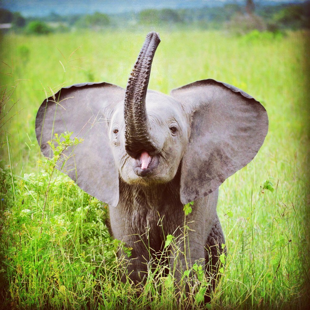 Photograph by Selemani Kiruwa