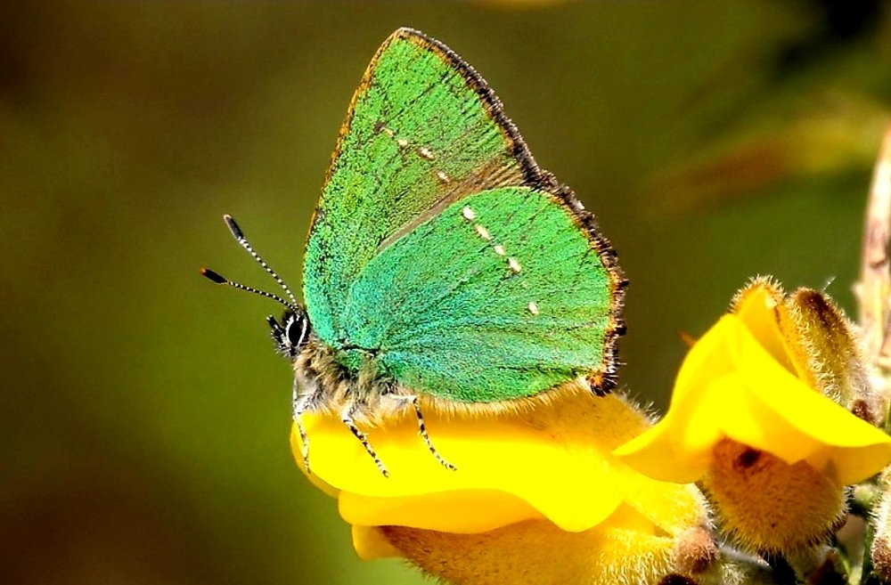 Photograph by Gönül Demirel