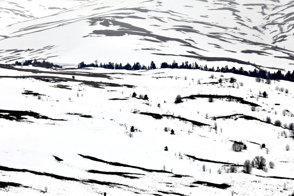 Photograph by Anna Markova