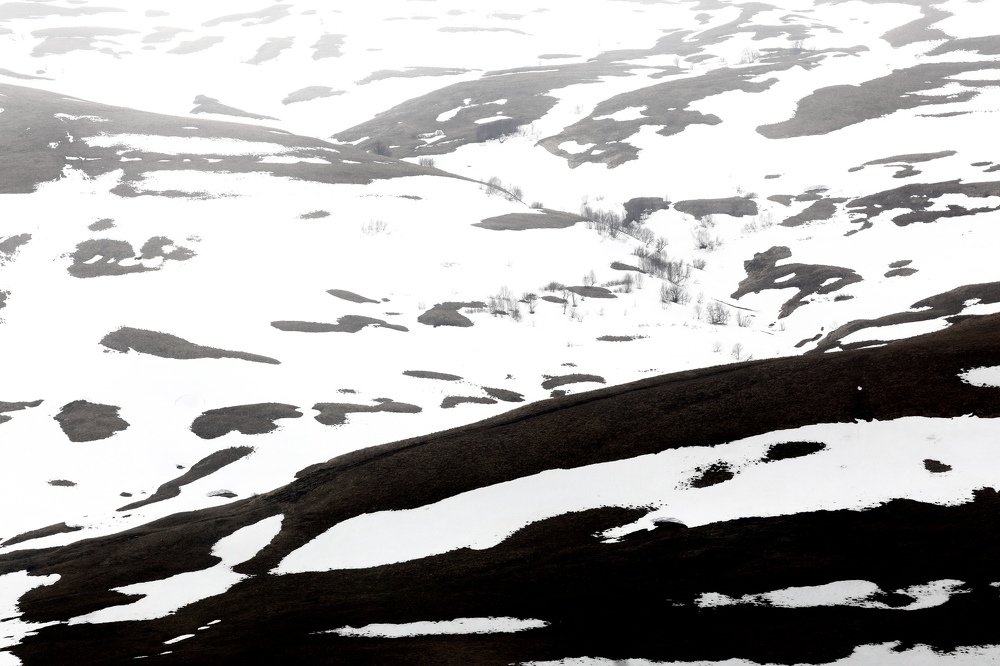 Photograph by Anna Markova