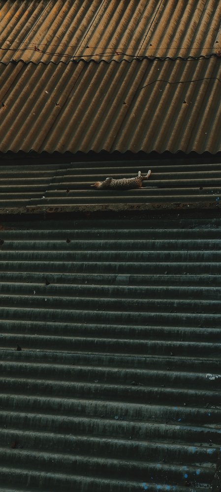 Photograph by Muralidharan.V