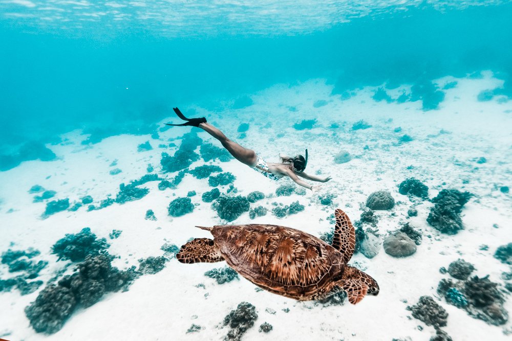 Photograph by Alison Bounce