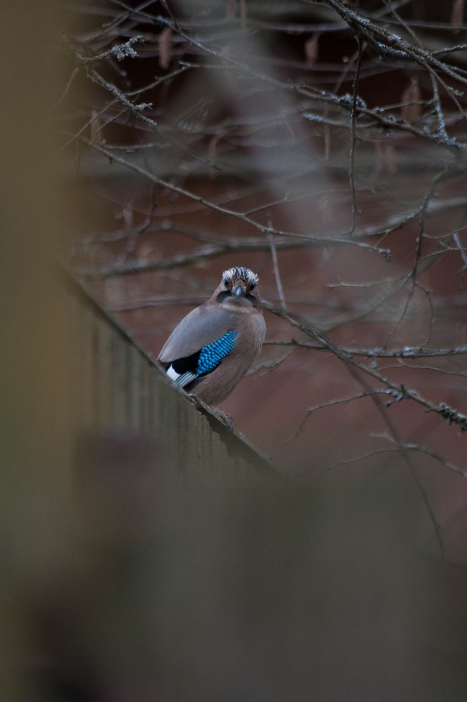 Photograph by Даша Ревинна