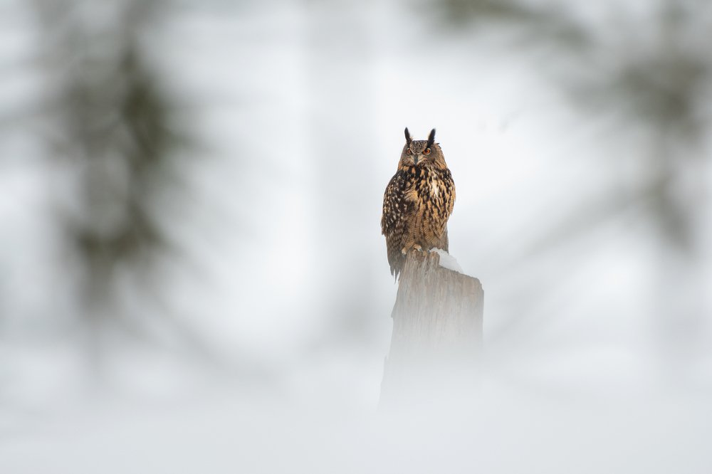 Фотография автора Rok Štirn