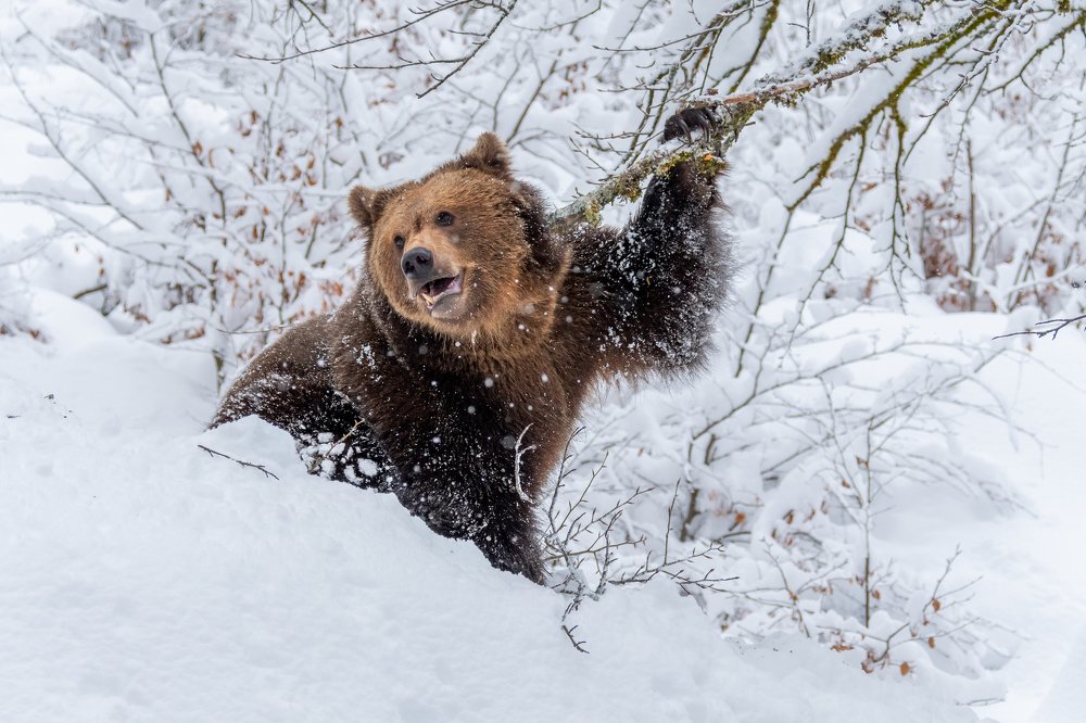 Фотография автора Rok Štirn