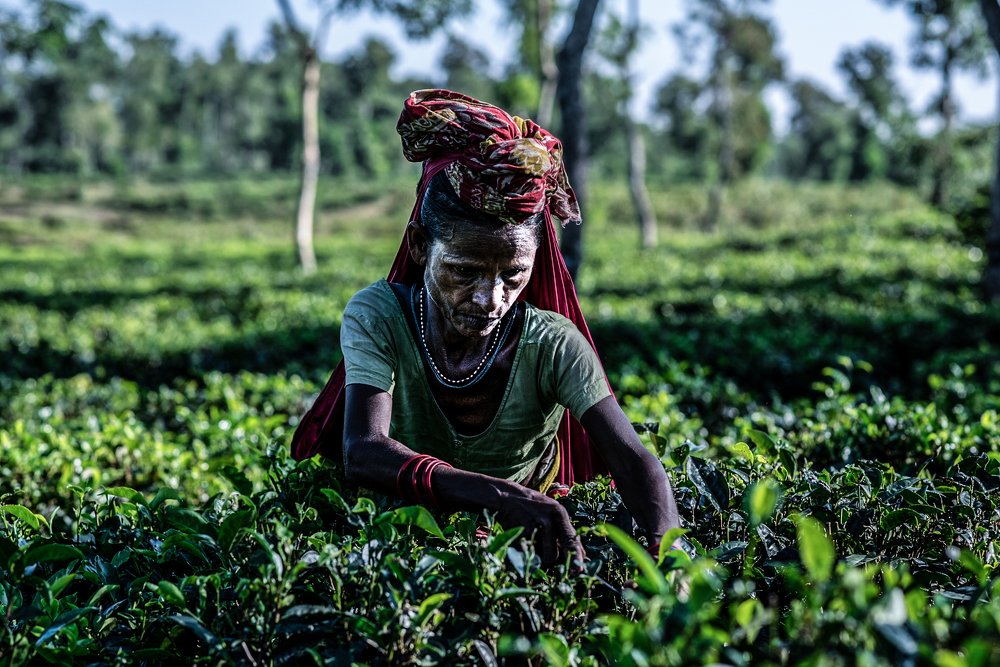 Photograph by Parvez Masud