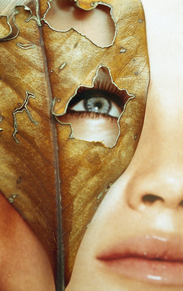 the essence of the leaf