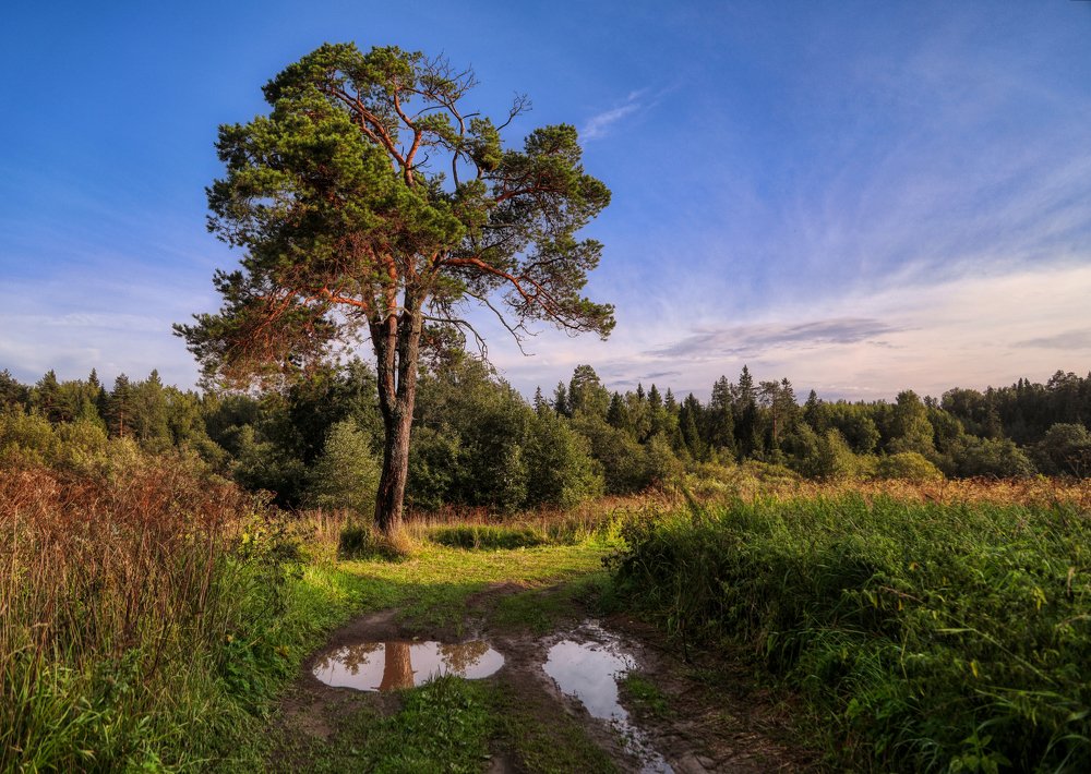Photograph by Светлана Воскресенская