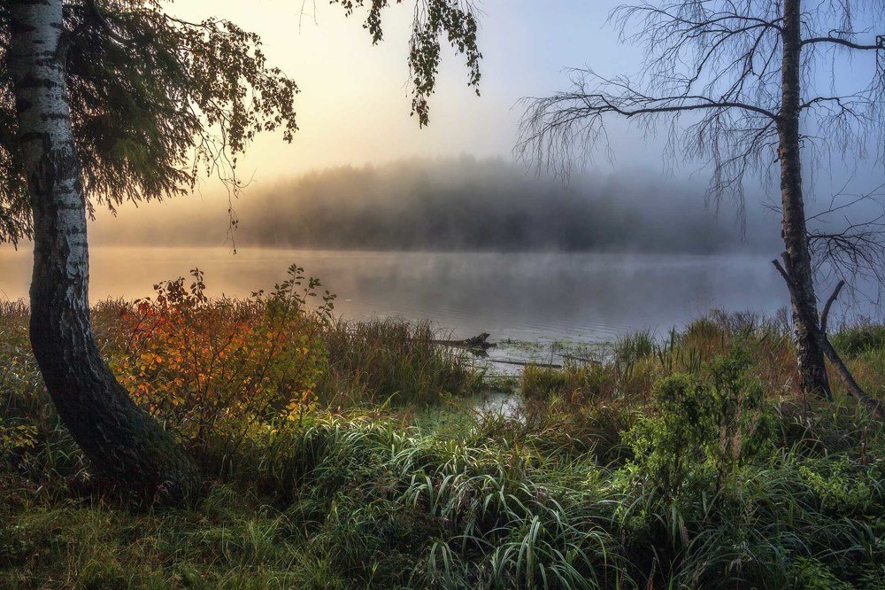 Photograph by Евгения Ботова