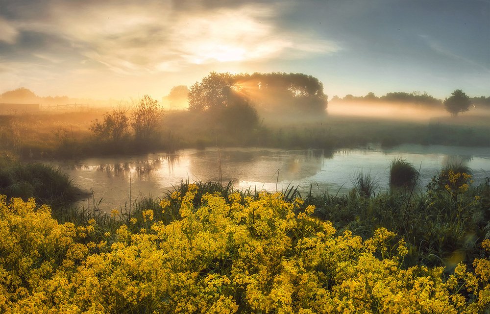 Photograph by Евгения Ботова