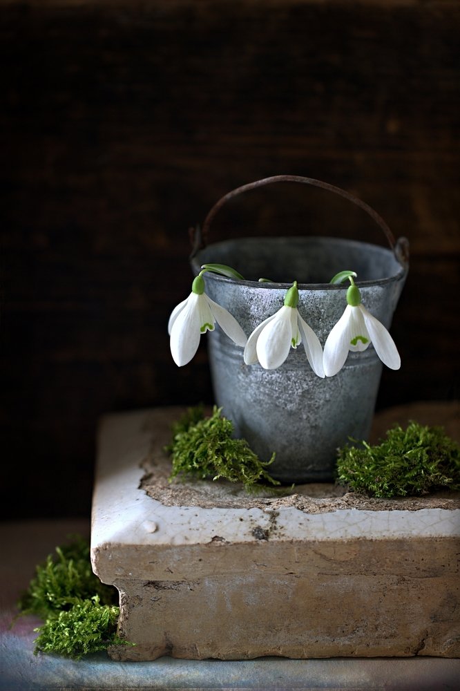 Photograph by Sonata Žemgulienė