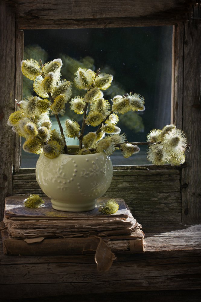 Photograph by Sonata Žemgulienė