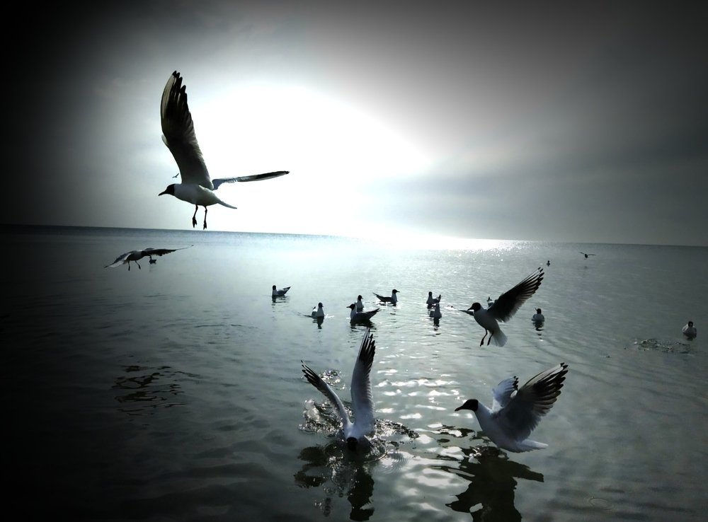 Photograph by Александр Ворона