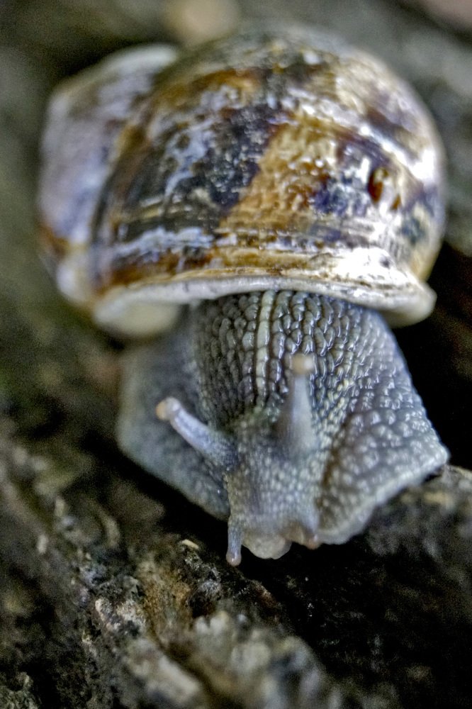 Photograph by Владимир Бутов