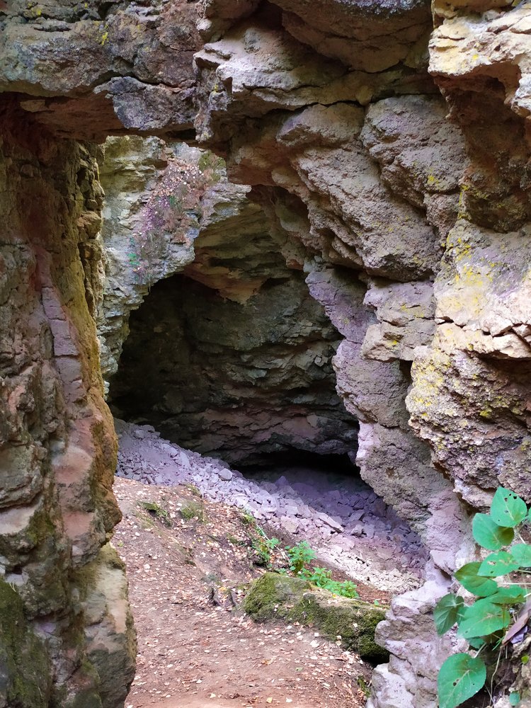 Photograph by Юлия Шушина