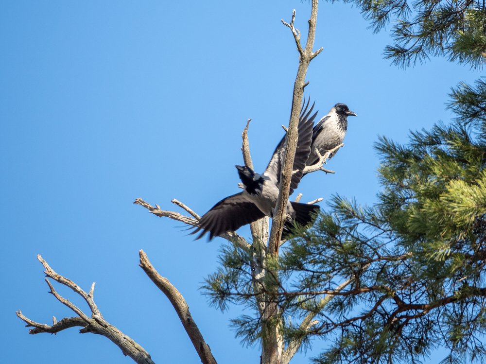 Photograph by Сергей