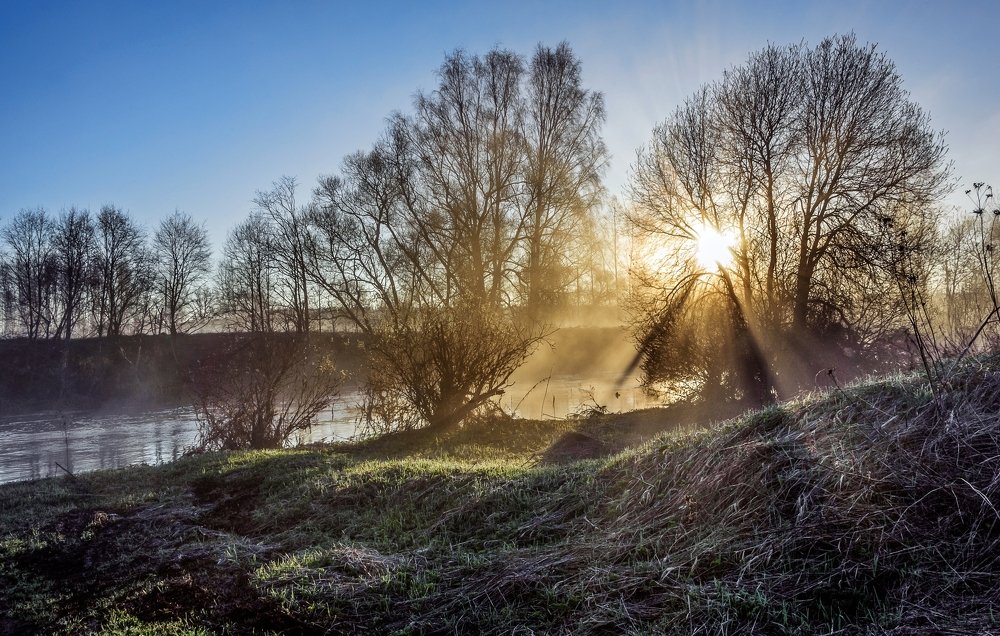 Spring morning