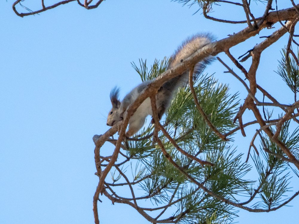 Photograph by Сергей