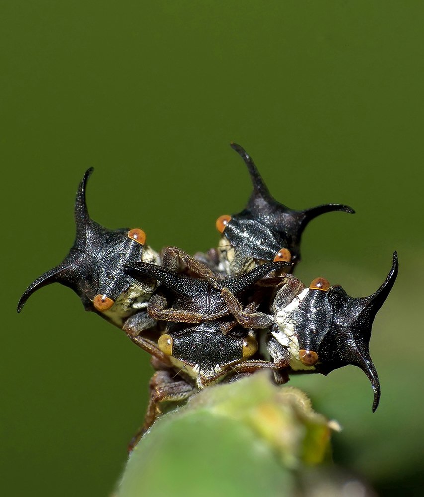 Photograph by Manojit Mallick